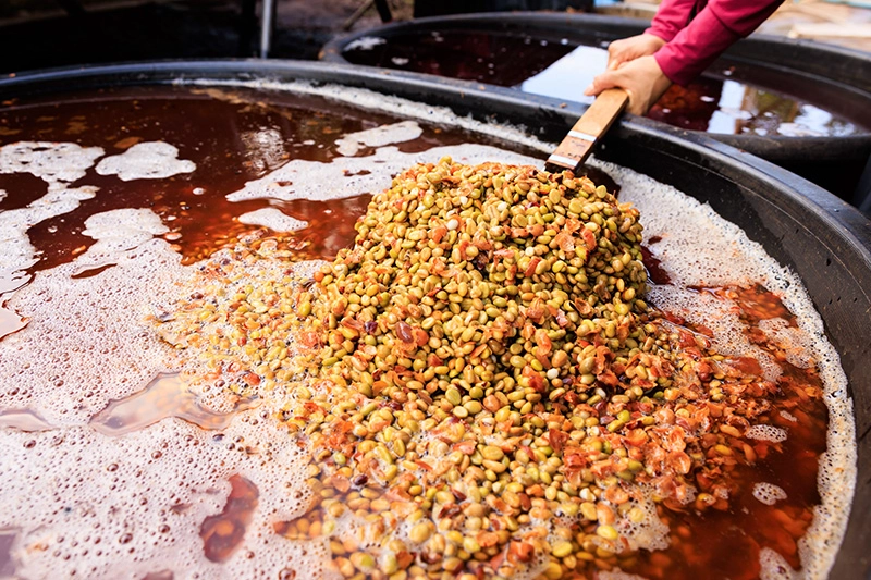 Kaffeefermentation: So beeinflusst sie das Aroma Ihres Kaffees