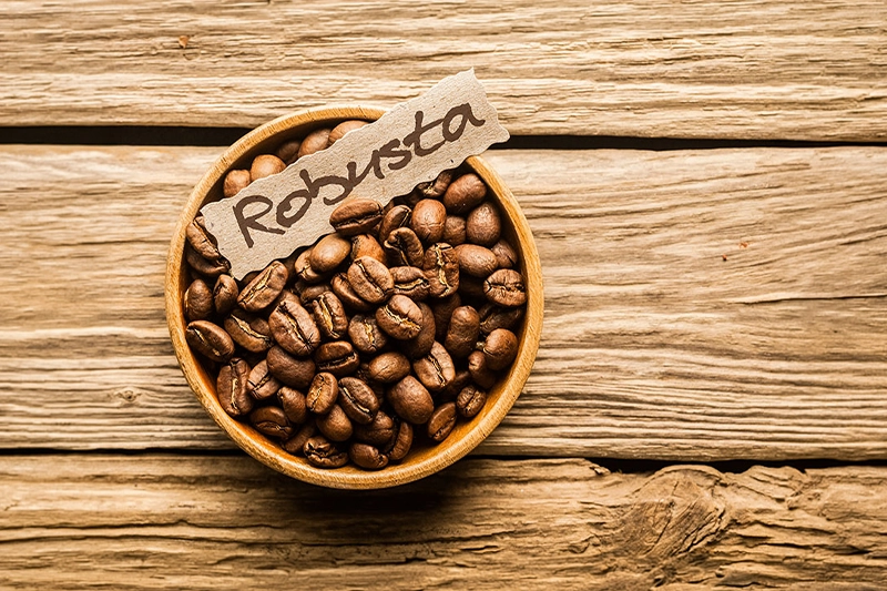 Kaffeebohne Robusta - Der Begleiter im Alltag